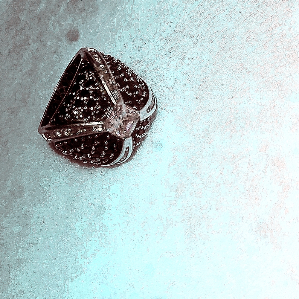 𝐒𝐢𝐥𝐯𝐞𝐫 𝐫𝐢𝐧𝐠 𝟗𝟐𝟓 𝐬𝐢𝐳𝐞 𝟔